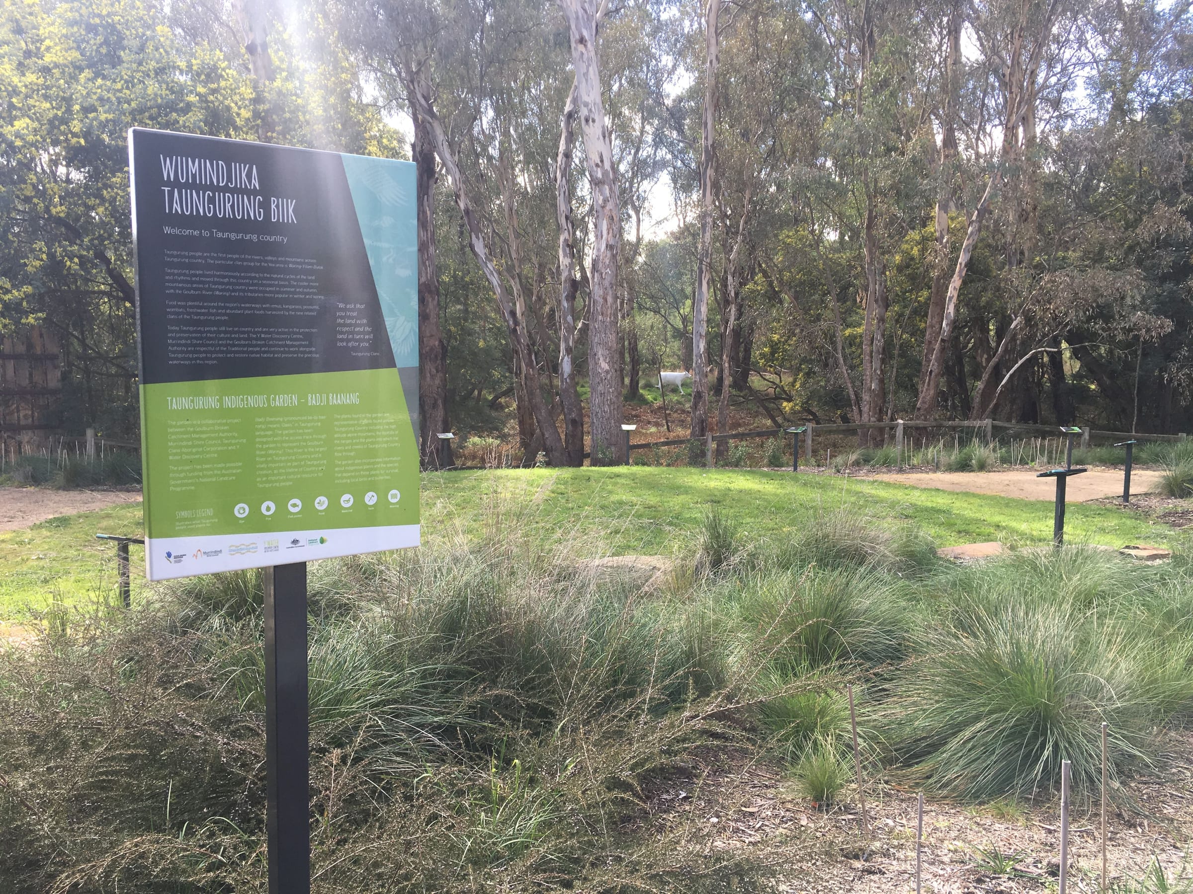 Summer at the Yea Wetlands Discovery Centre Post feature image