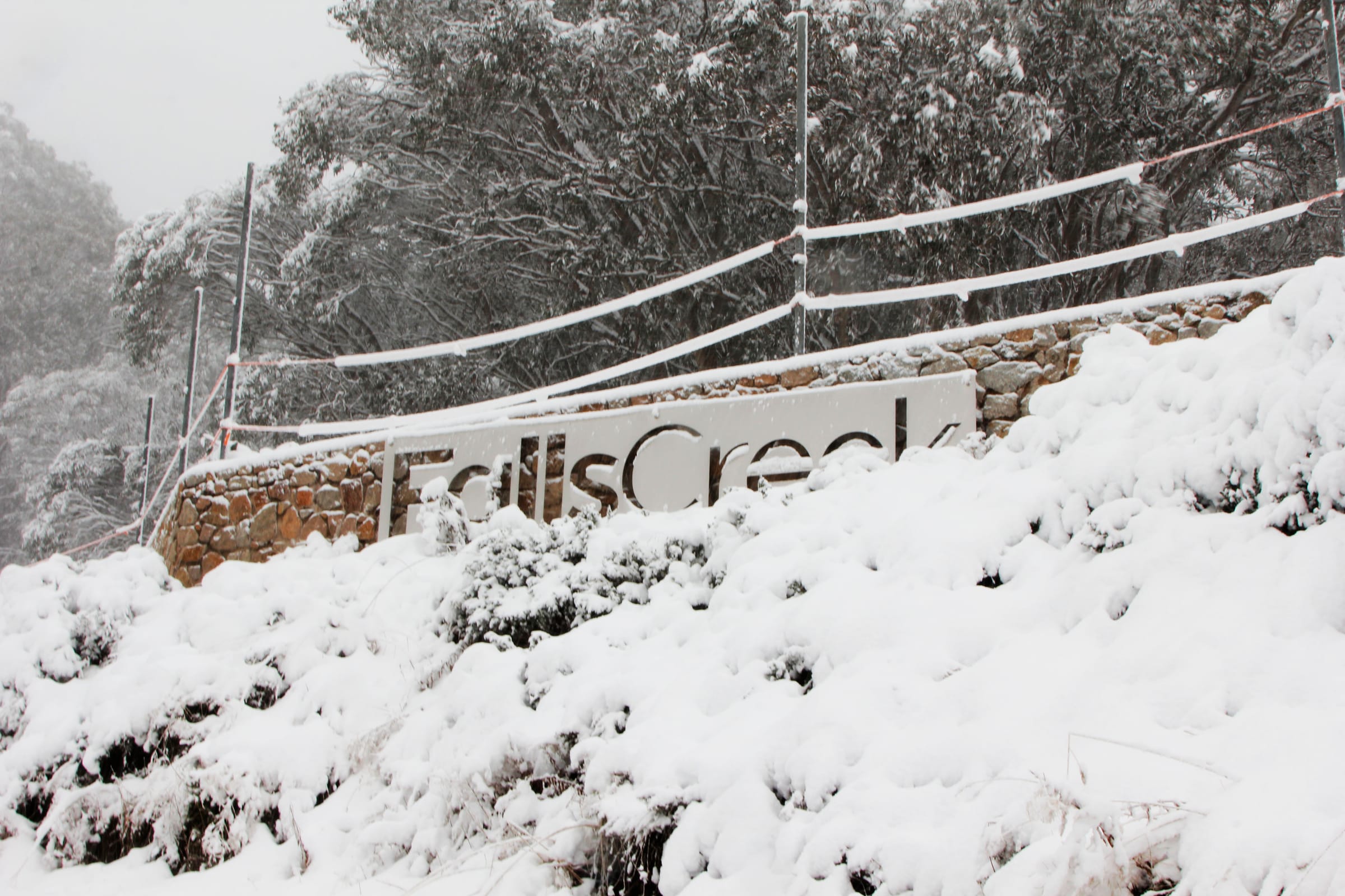 Falls Creek is certainly back in action Post feature image