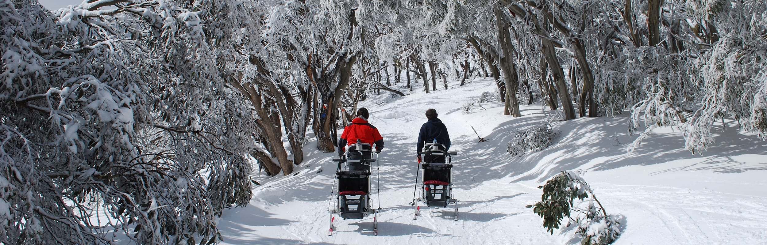 Mt Stirling Page image
