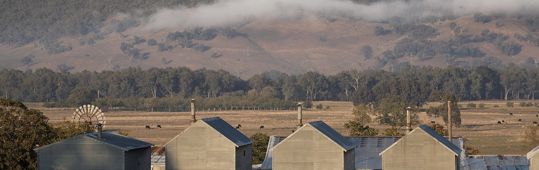 Myrtleford Page image